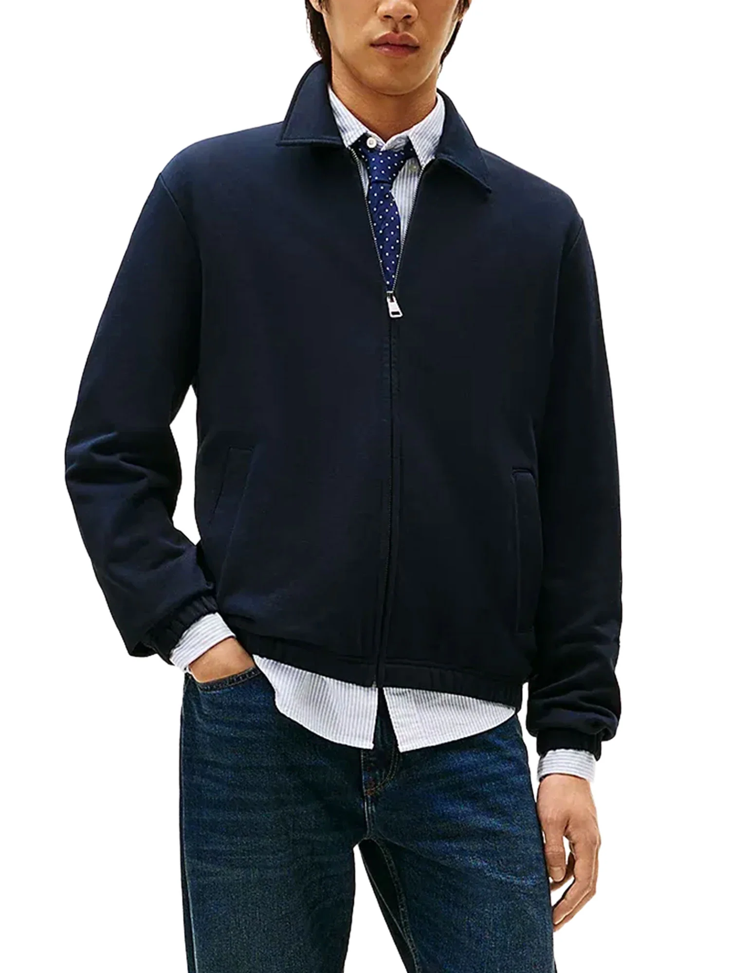 Giacca Tommy Hillfiger modello ivy modello essential terry blu