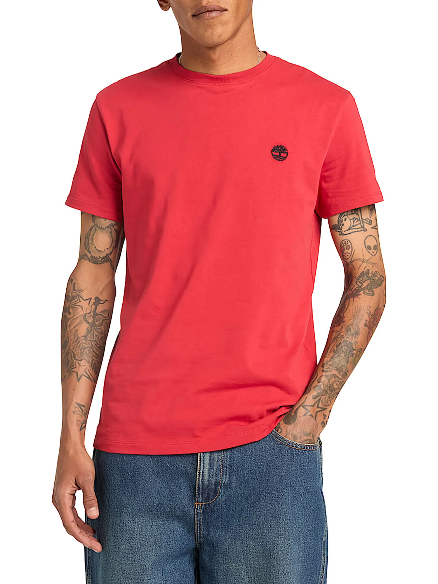 T-shirt Timberland uomo manica corta Dunstan River american beauty