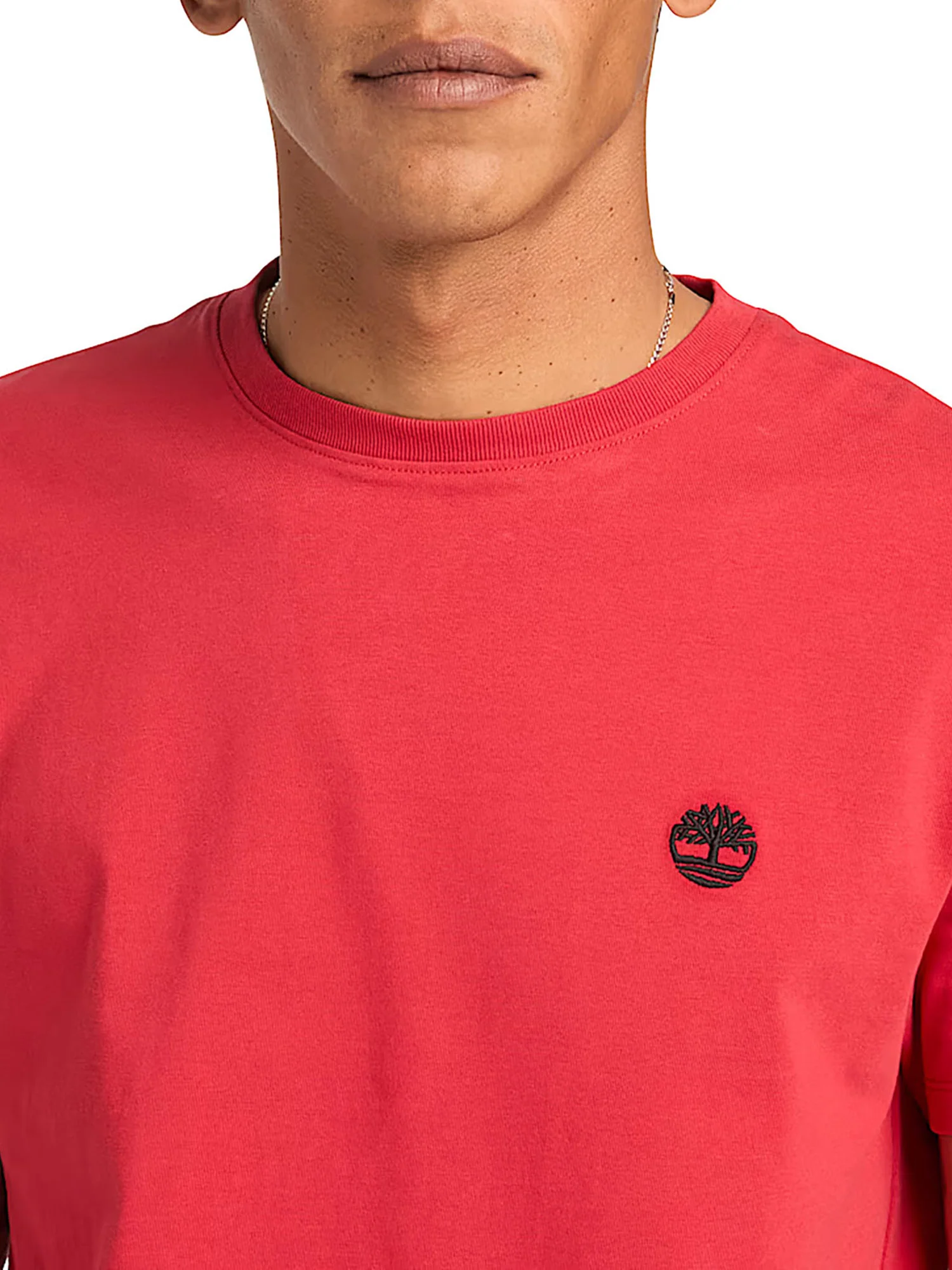 T-shirt Timberland uomo manica corta Dunstan River american beauty - Image 6