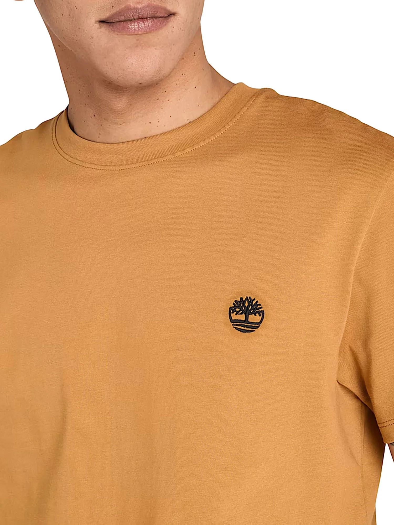 T-shirt Timberland uomo manica corta Dunstan River beige - Image 3