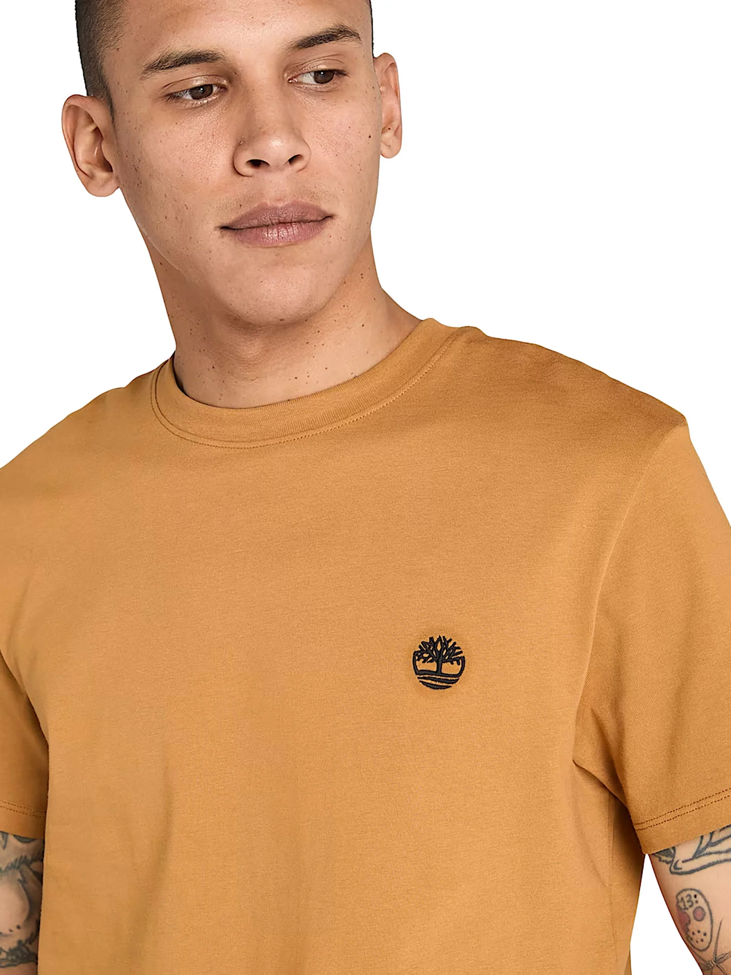 T-shirt Timberland uomo manica corta Dunstan River beige - Image 6