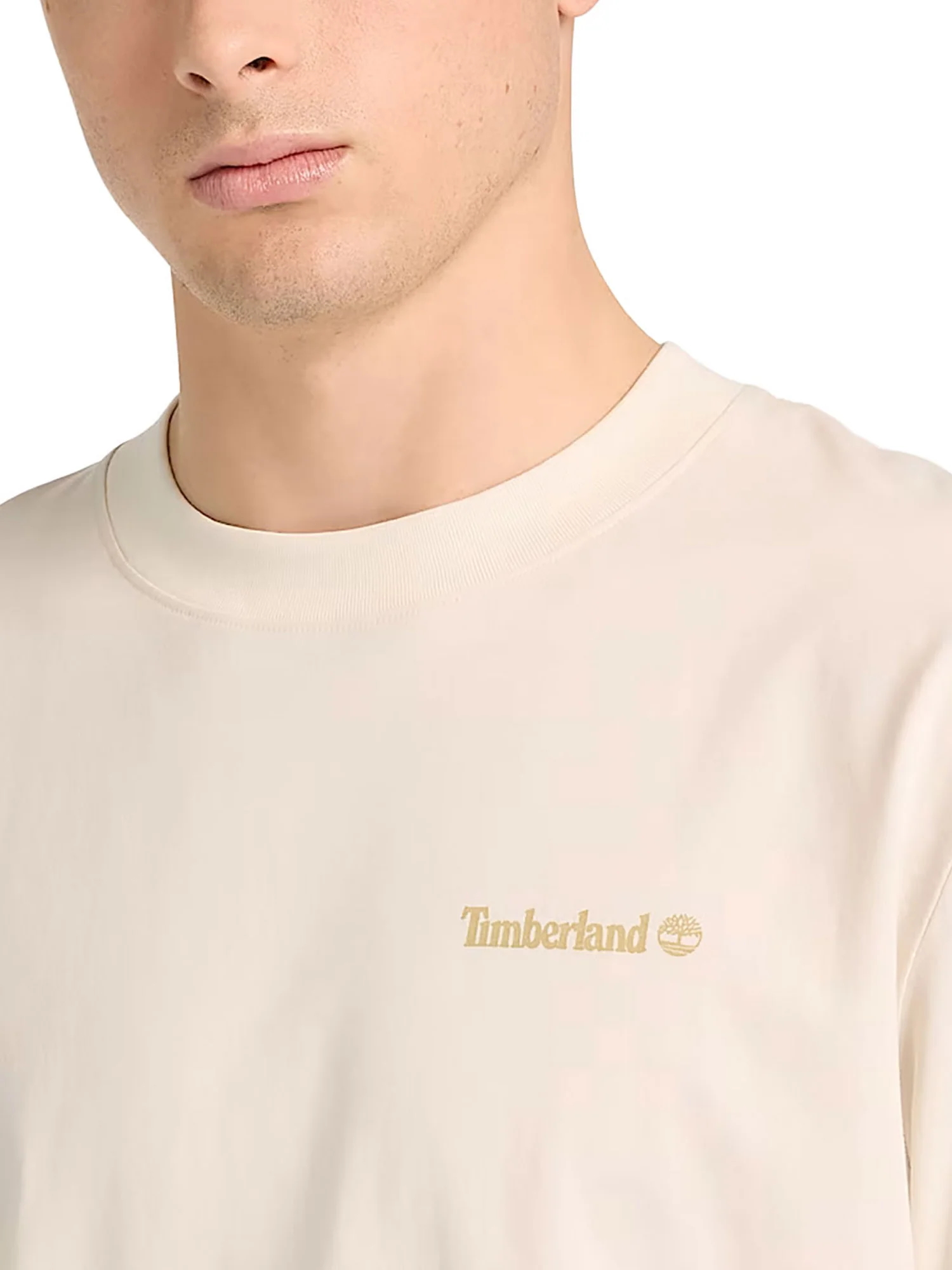 T-shirt Timberland uomo manica corta Magnet Back Gaphic avorio - Image 5