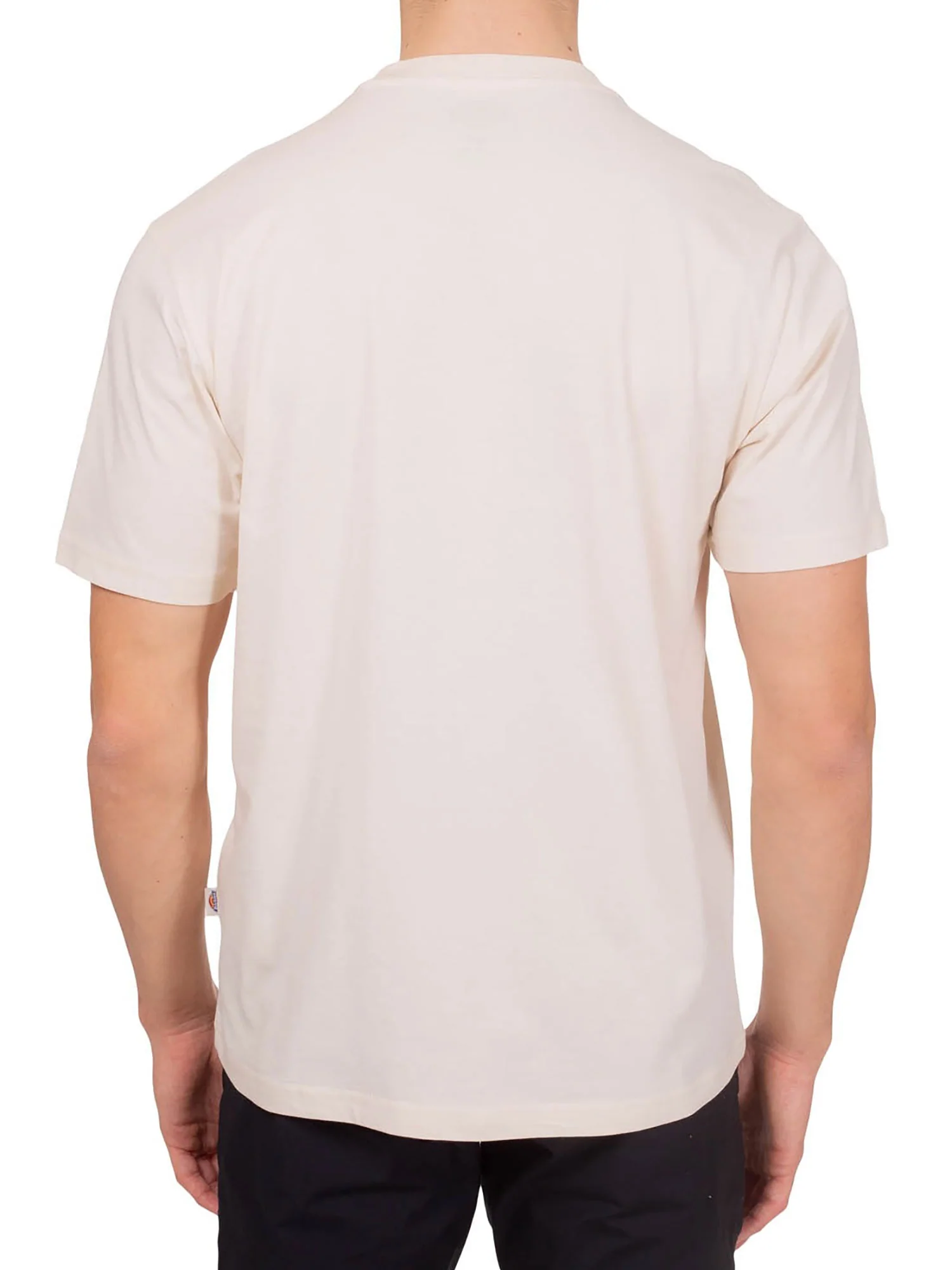 T-shirt Dickies uomo manica corta Mapleton beige - Image 2