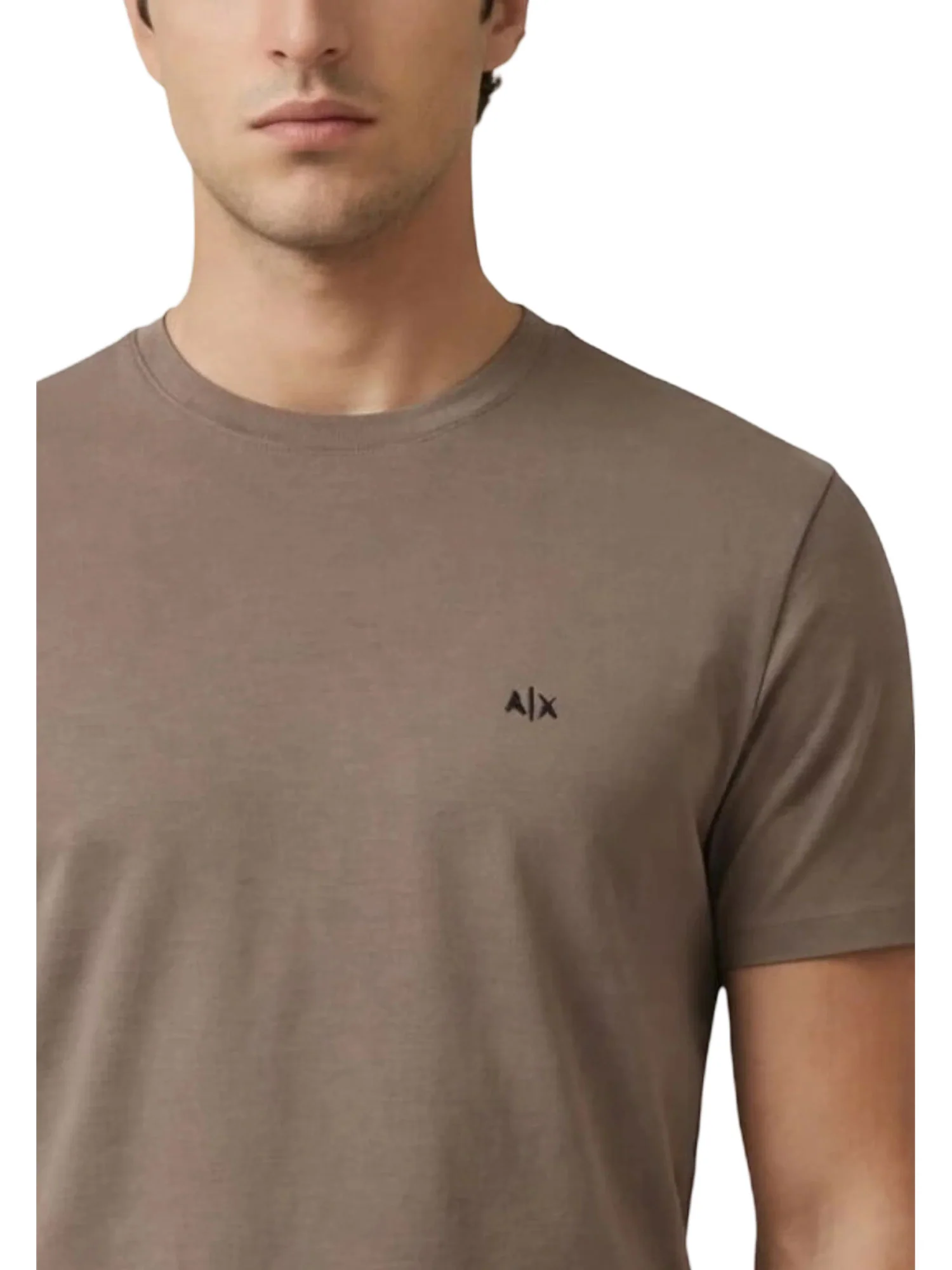 T-shirt manica corta Armani Exchange uomo micrologo jersey driftwood - Image 3