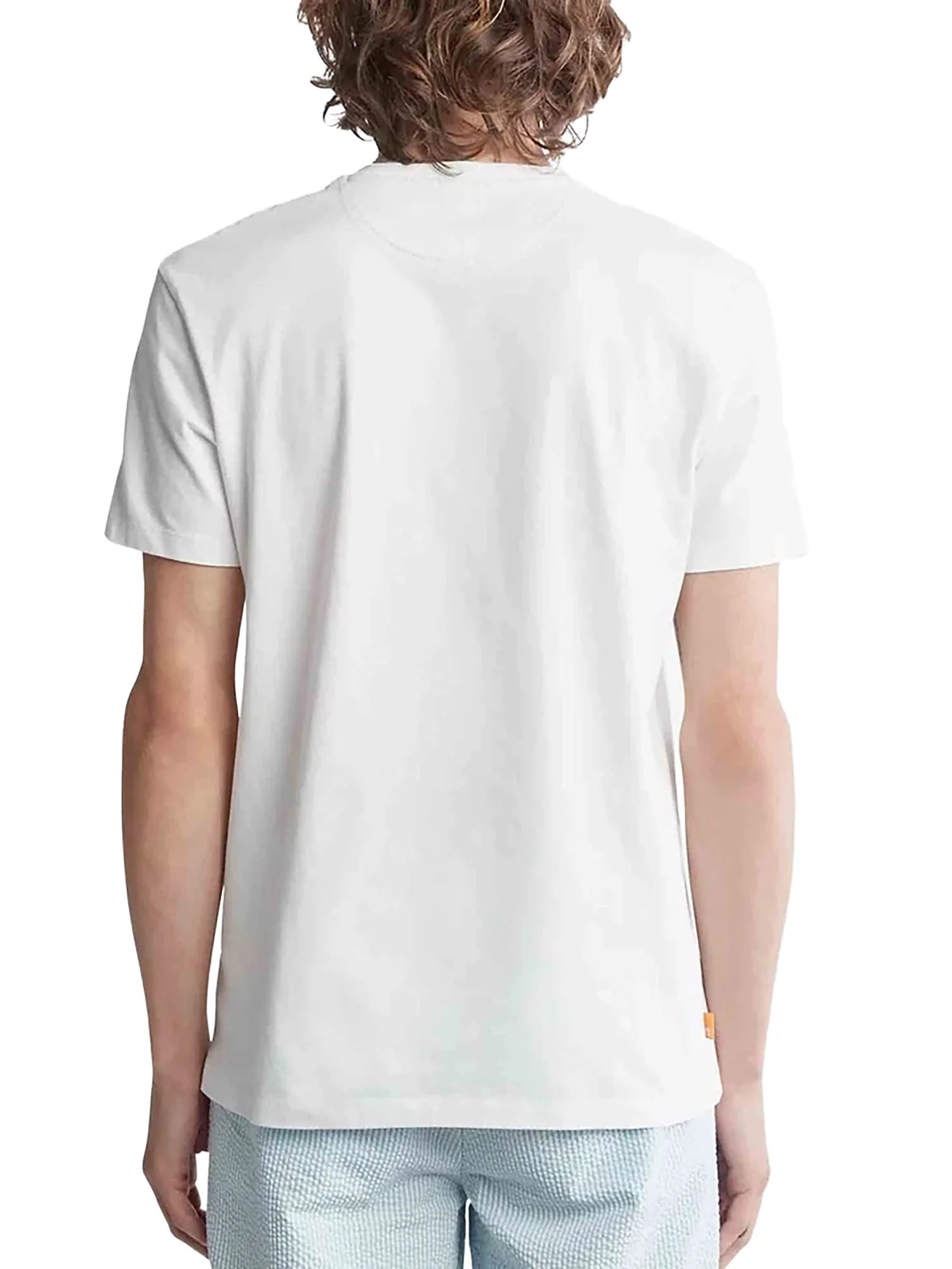 T-shirt Timberland uomo manica corta PKT Dunstan River bianco - Image 2